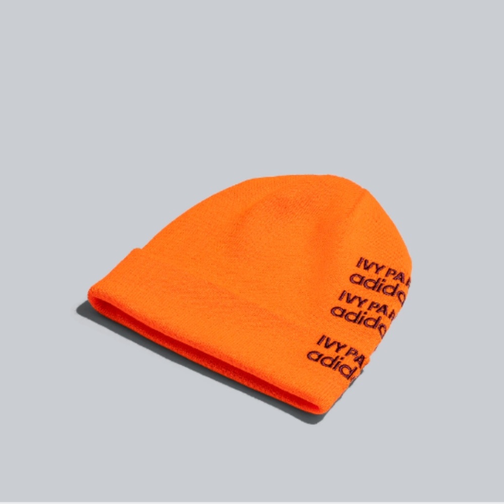 🚨SOLD🚨 IVY PARK LOGO BEANIE - Picture 3 of 6